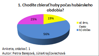 Bez názvu 2