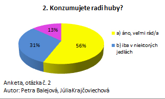 Bez názvu 3